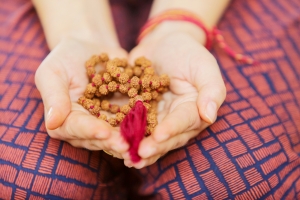 Foto Martins Plume (245) 2